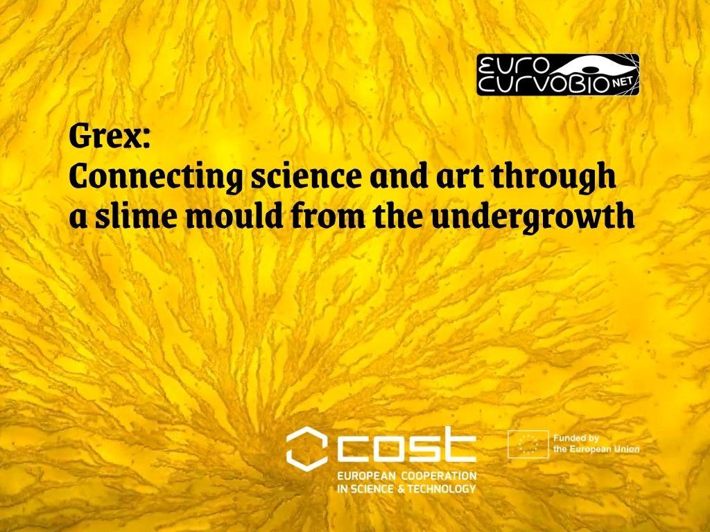 Grex featured by the COST Association