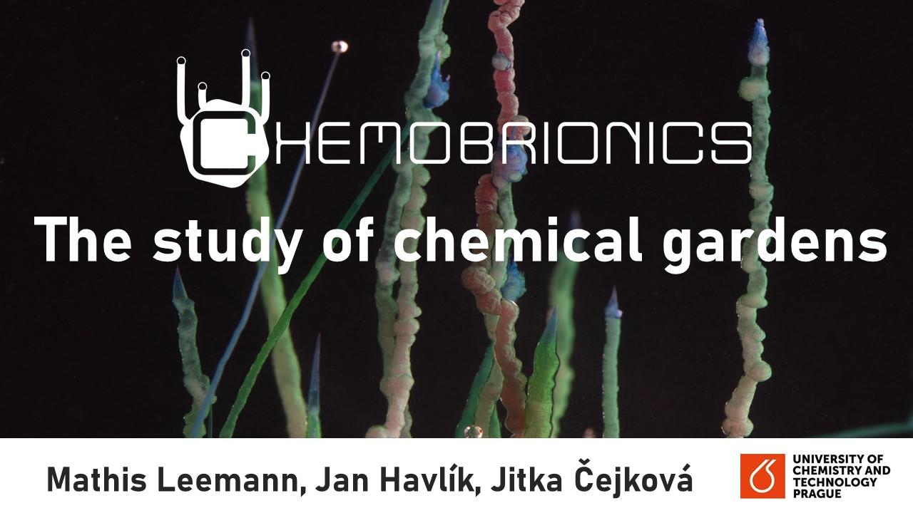 Chemobrionics at SSCHE 2022