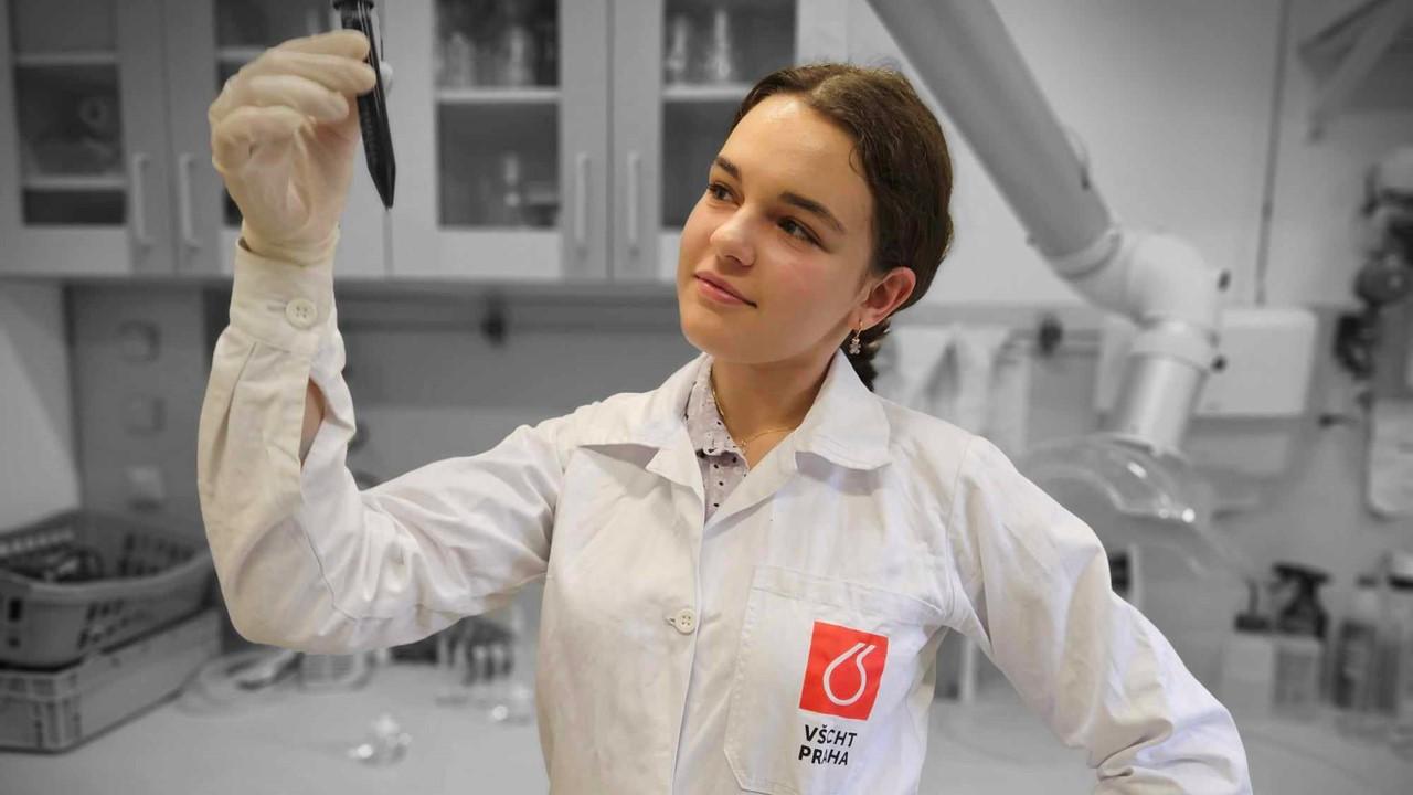 ParkLane Work Experience Programme 