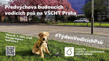 svvp