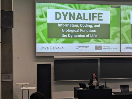 dynalife