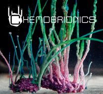 cbrio2